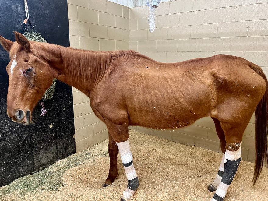 Everyday is a new beginning. Take a deep breath…