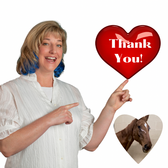 Thank You! Fundraiser Results For Noel’s Equine Vet Bill