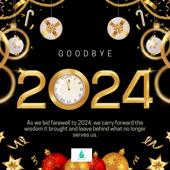 Goodbye 2024, Welcome 2025